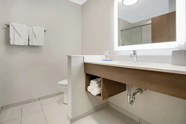 Standard, King Bed, Accessible, Holiday Inn Express Jacksonville South Bartram Prk 5/10