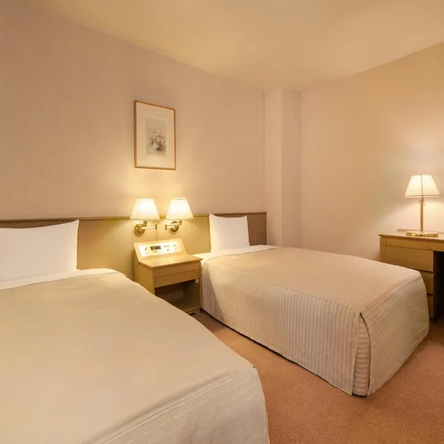 غرفة بريميوم بسرير فردي، Hotel Anbient Tateshina 3/7