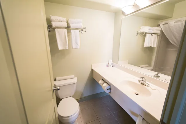1 Bedroom, Junior Suite, Queen Bed, Sofa, Nova Inn Peace River 2/2