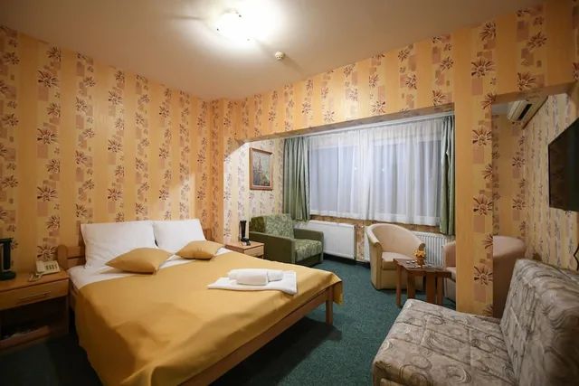 غرفة عائلية بسرير مزدوج بإطلالة على المتنزه مع أريكة، Hotel Slodes 4/10