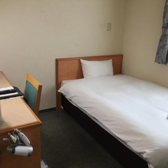 غرفة مفردة، Hotel Green Palace 3/8