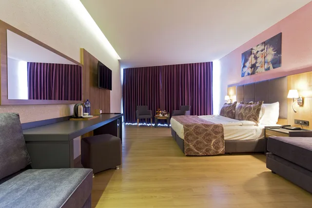 غرفة سوبيريور بسرير مزدوج مع أريكة، Euphoria Batumi Convention And Casino Hotel 2/4