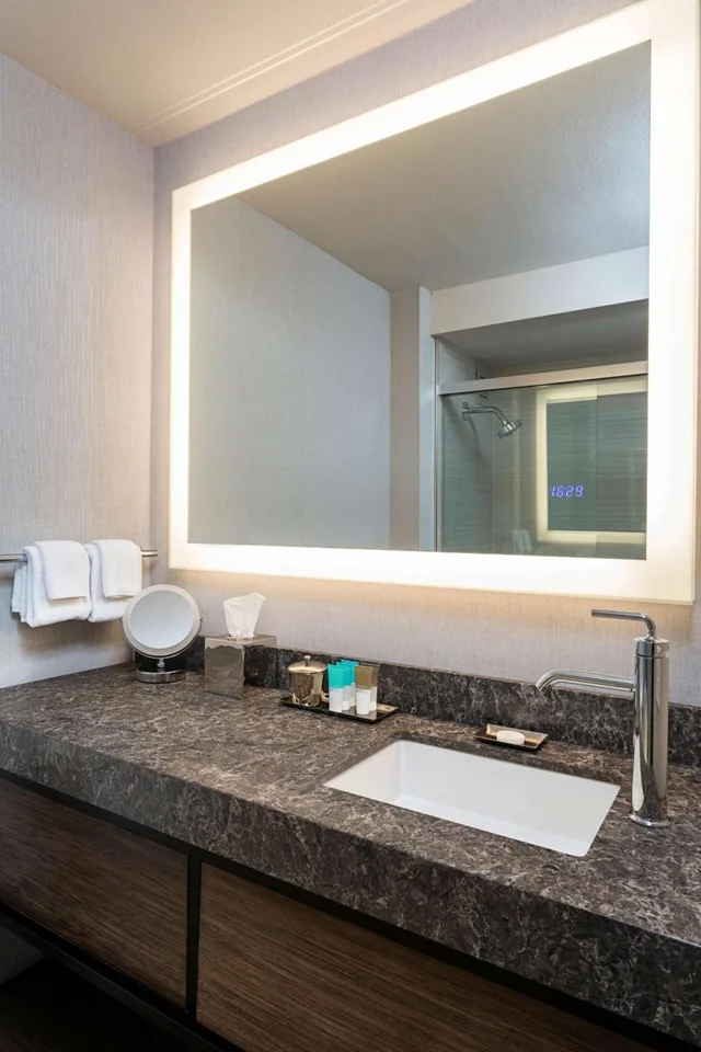 Skyline, Suite، Hyatt Regency Rochester 4/4
