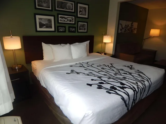 جناح بسرير كينج لذوي الإعاقة، Sleep Inn & Suites Evergreen I-65 1/2