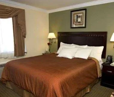 جناح بسرير كينج، North Bay Inn 2/2