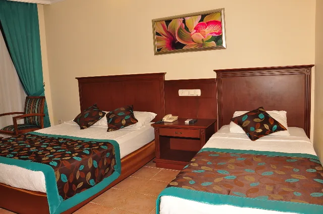 Standard, Single, Double Bed, Club Dizalya 1/1