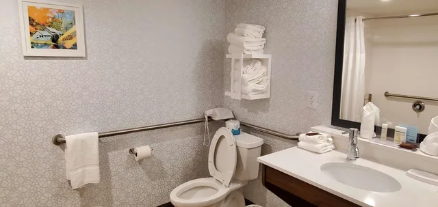 غرفة بسرير مزدوج لذوي الإعاقة، Hampton Inn Hillsville 3/3
