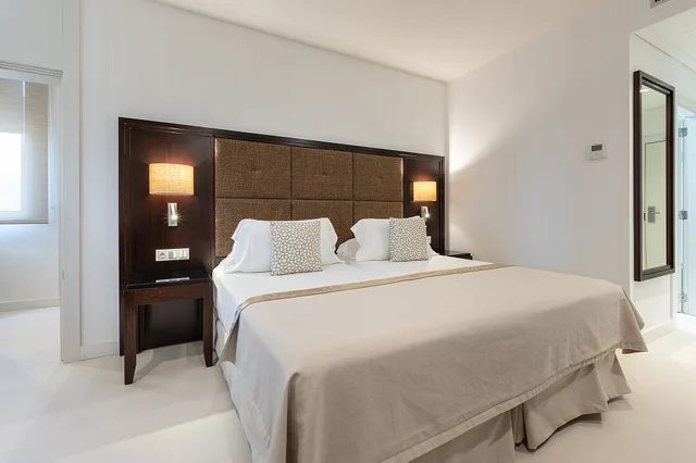 غرفة تنفيذية مفردة بسرير مزدوج، Hotel Saray 1/2