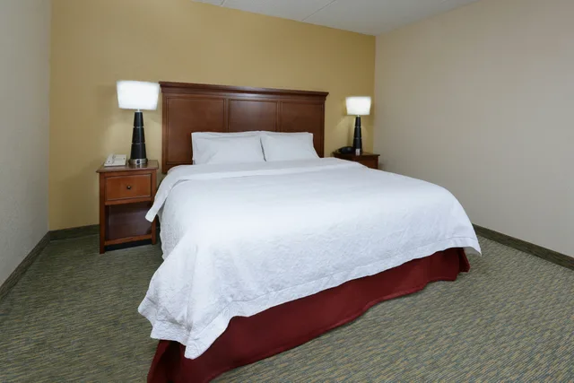 غرفة بسرير كينج لذوي الإعاقة، Hampton Inn Raleigh/Durham-Airport 2/3