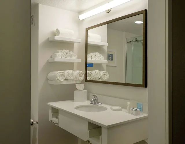 جناح استوديو بسرير كينج، Hampton Inn Green Bay Downtown 4/5
