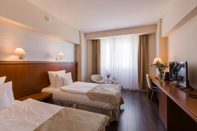 غرفة بزنس بسرير مزدوج أو سريرين منفصلين، Hotel Timisoara 2/10