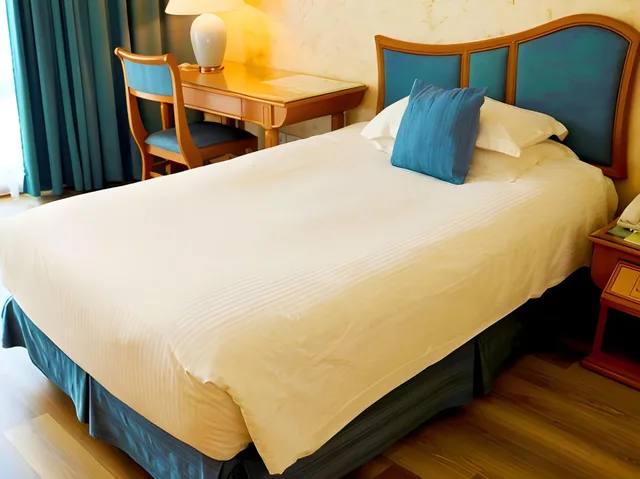 غرفة سوبيريور مفردة، Grand Palace Hotel 2/4