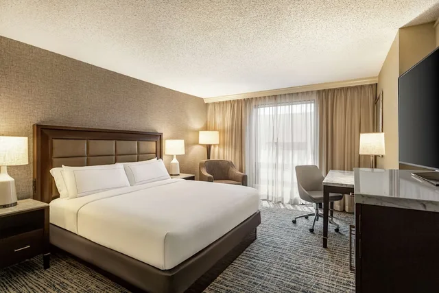 جناح بسرير كينج بغرفة نوم واحدة لذوي الإعاقة، Hilton Tampa Downtown 1/2