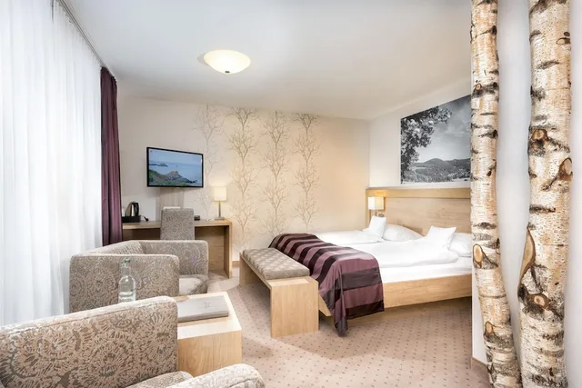 جناح بسرير مزدوج، Best Western Plus Hotel Willingen 1/7