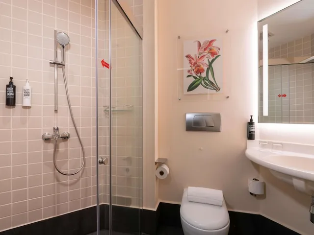 غرفة سوبيريور بسرير كينج، Ibis Singapore on Bencoolen 10/10