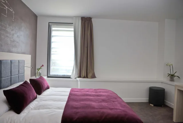 Standard, Queen Bed, Street View، Best Western Plus Villa Saint Antoine Hotel & Spa 2/5