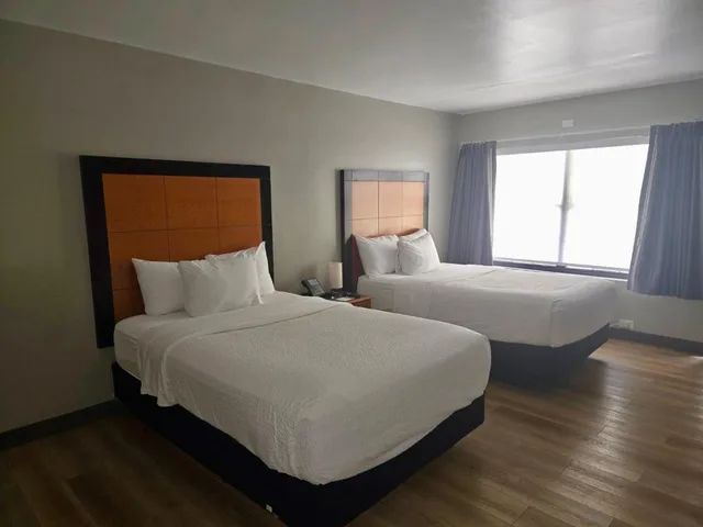 غرفة قياسية بسريرين مزدوجين، La Quinta Inn Tampa Airport Stadium Westshore 1/4