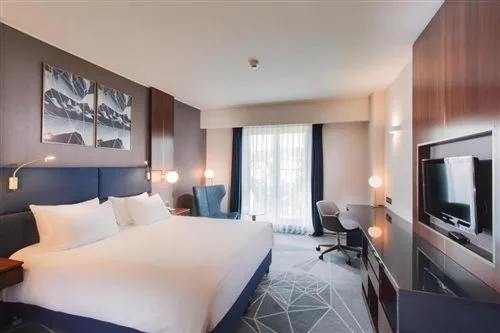 غرفة بسرير مزدوج، DoubleTree by Hilton Cluj City Plaza 1/1