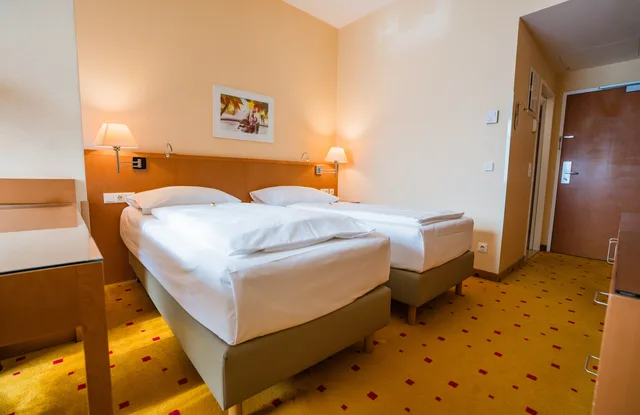 Executive, Single, Ibercity Wien Schonbrunn 2/6