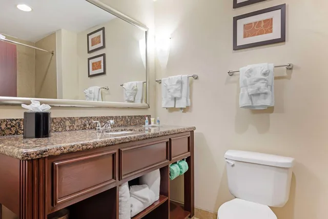 جناح بسريرين كوين، Comfort Suites West Dallas Cockrell Hill 3/3