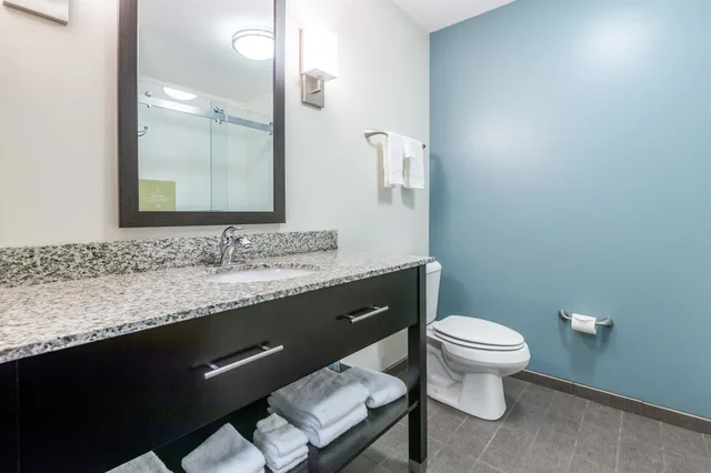 جناح بسرير كينج مع أريكة، Sleep Inn & Suites West Des Moines near Jordan Creek 4/4