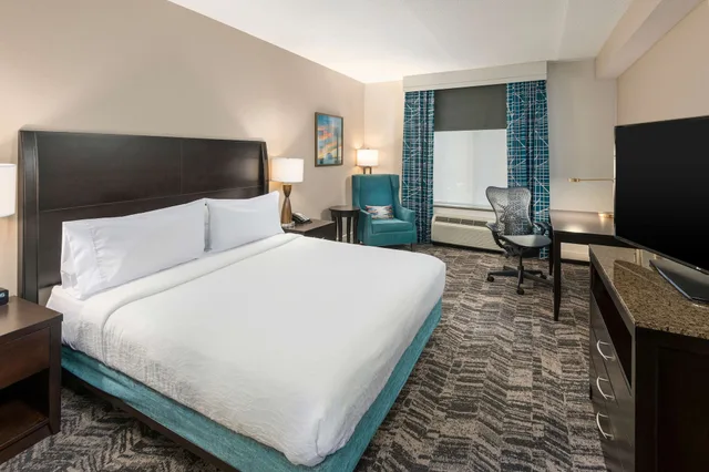 Evolution, King Bed، Hilton Garden Inn Silver Spring White Oak 1/2
