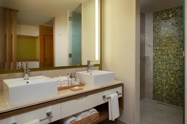 Premium, Junior Suite, Tropical View، Dreams Onyx Resort And Spa Punta Cana 6/6