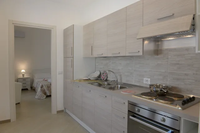 شقة بسرير كوين بغرفة نوم واحدة مع أريكة، DOMUS ANTIQUA RESIDENCE 7/8