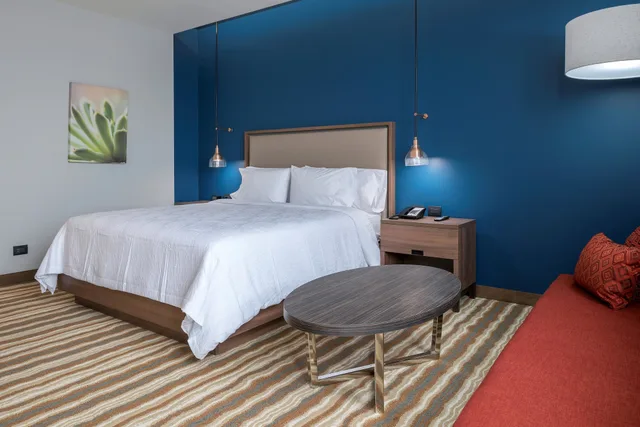 غرفة قياسية بسرير كينج، Hilton Garden Inn Chihuahua Chihuahua 6/10