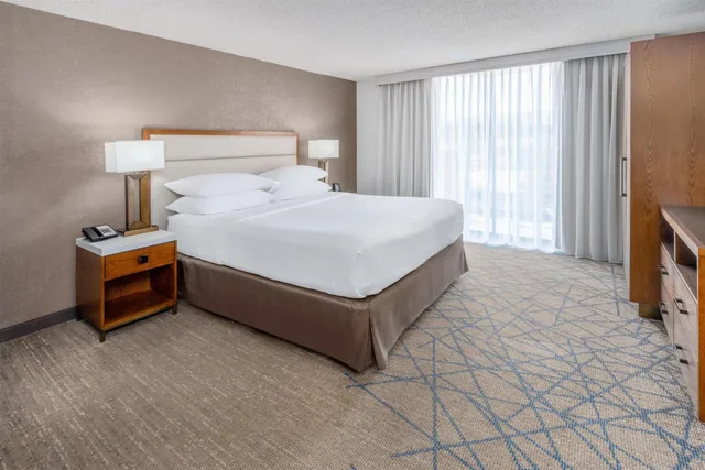 جناح بسرير كينج مع أريكة، Embassy Suite Hotel Colorado Springs 1/3