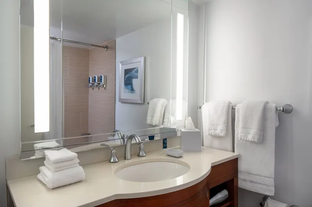 جناح بسرير كينج بغرفة نوم واحدة، Four Points by Sheraton Suites Tampa Airport Westshore 5/5