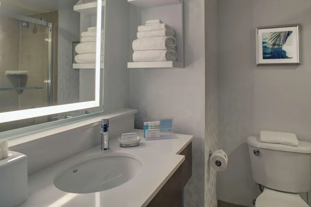 غرفة بسرير مزدوج، Hampton Inn Suites Miami Airport South Blue Lagoon 3/4
