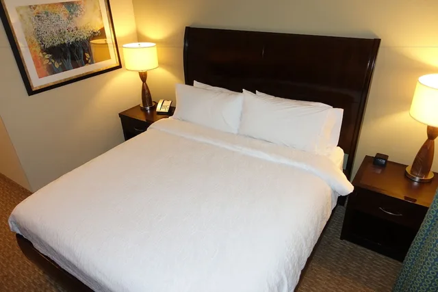 غرفة بسرير كينج لذوي الإعاقة، Hilton Garden Inn Houston/Pearland 2/3