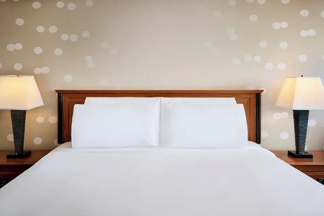 غرفة بريميوم بسرير فردي، Niagara Fallsview Hotel & Suites 1/4