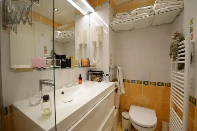 1 Bedroom, Love, Apartment, Les Patios Du Marais 4/6