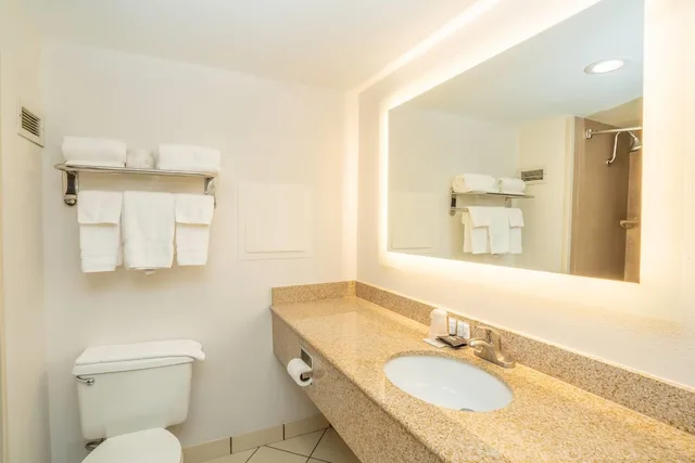 غرفة بسرير كينج لذوي الإعاقة، Elimwood Hotel, A Ramada by Wyndham 7/8