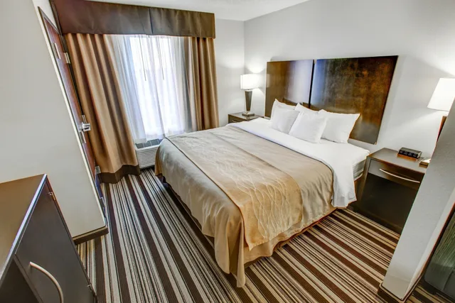 غرفة قياسية بسرير كينج، Comfort Inn & Suites Triadelphia - Wheeling 2/7