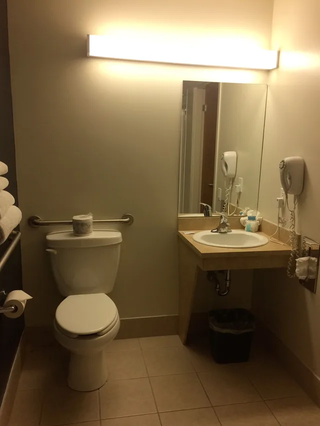غرفة بسرير كينج لذوي الإعاقة، Hotel TERRA Laurentides 6/7