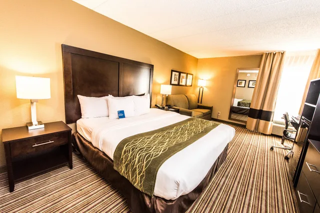 غرفة قياسية بسرير كينج مع أريكة، Comfort Inn Lehigh Valley West 5/6