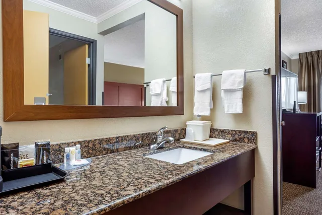 غرفة بسرير كينج، Comfort Inn Hoffman Estates Schaumburg 2/2