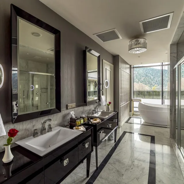 جناح رئاسي، Borjomi Likani Hotel, Borjomi 2/6