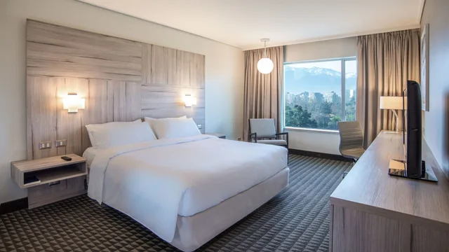 غرفة قياسية بسرير مزدوج، Pullman Santiago Vitacura 1/1