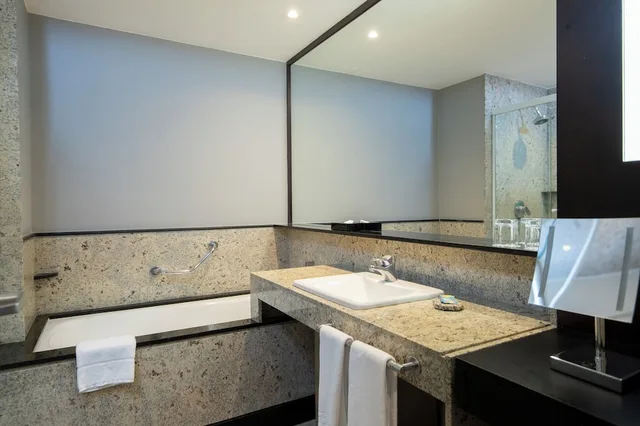 جناح رئاسي بسرير كينج بحوض استحمام، Pullman Sao Paulo Vila Olimpia 7/7