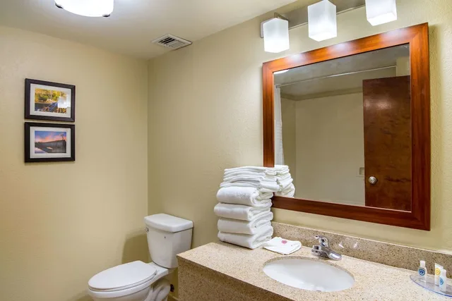 غرفة بسرير كينج مع أريكة، Comfort Inn Acworth - Kennesaw Northwest 3/3