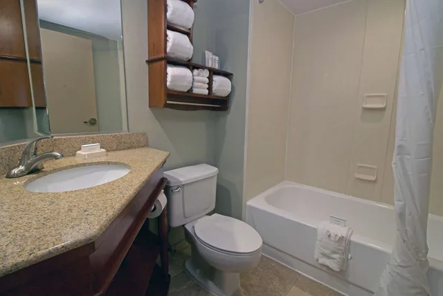 Room, King Bed, Hampton Inn Norfolk/Chesapeake (Greenbrier Area) 2/2