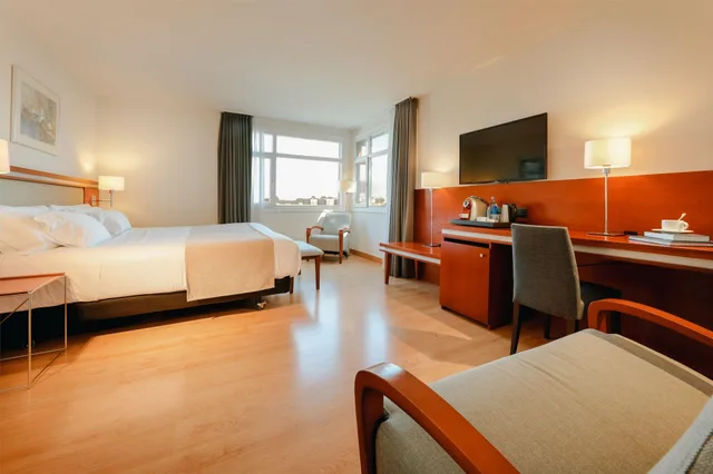 غرفة تنفيذية مفردة بسرير مزدوج، Abba Euskalduna Hotel 1/2
