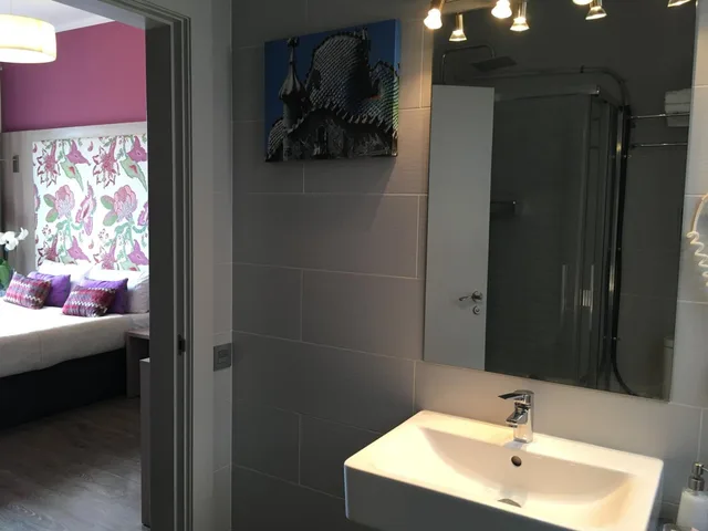 غرفة بسرير مزدوج أو سريرين منفصلين بإطلالة، Hotel Ginebra 8/8