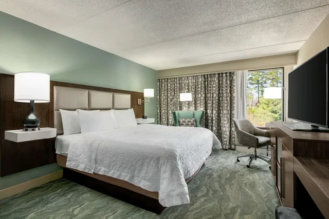 غرفة ديلوكس بسرير كينج، Hampton Inn By Hilton Richmond-North/Ashland 5/9