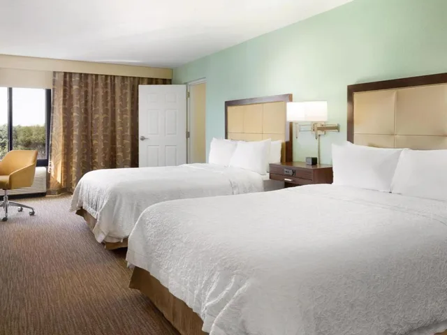 جناح بسريرين كوين بغرفة نوم واحدة مع أريكة، Hampton Inn & Suites Tarpon Springs 1/3