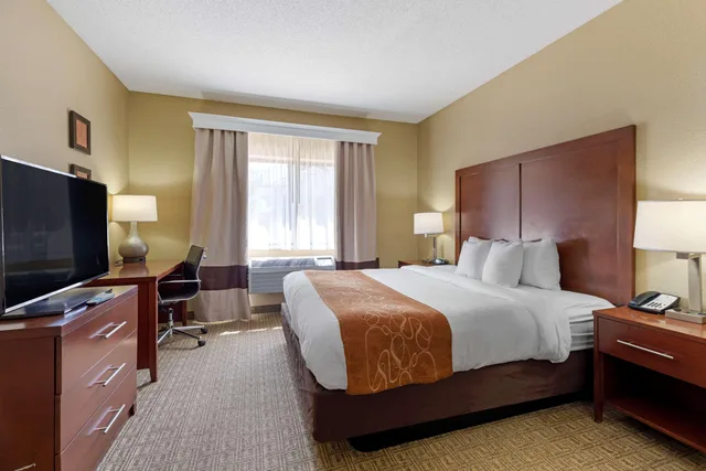 جناح بسرير كينج، Comfort Suites Lakewood - Denver 10/10